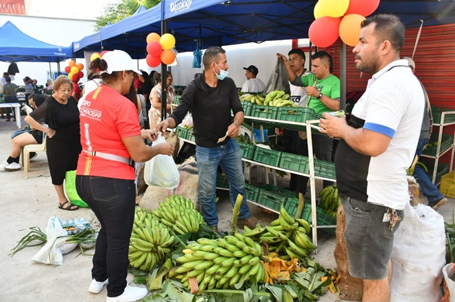 Expocomfacesar Codazzi 2026
